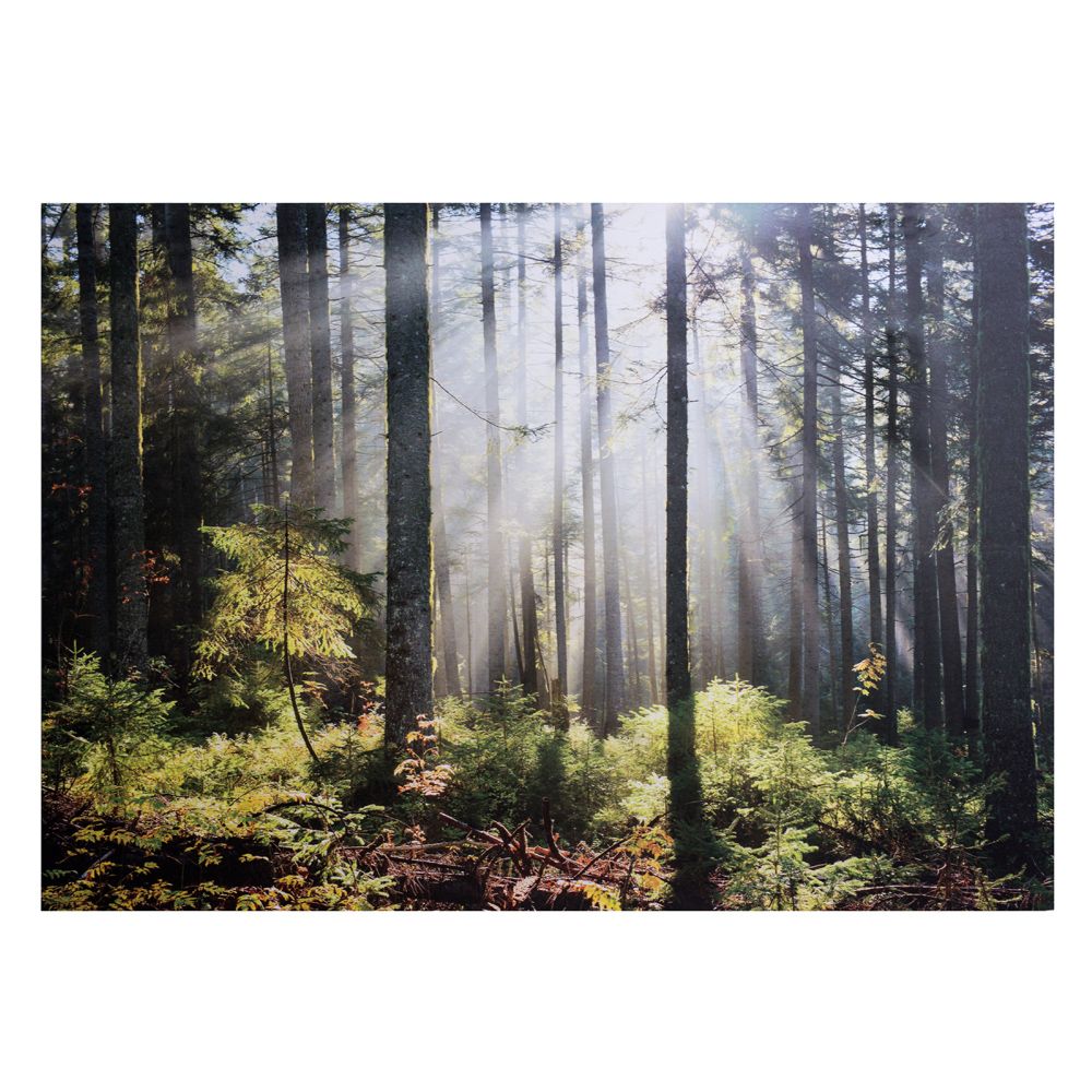 Paveikslas PRINTS