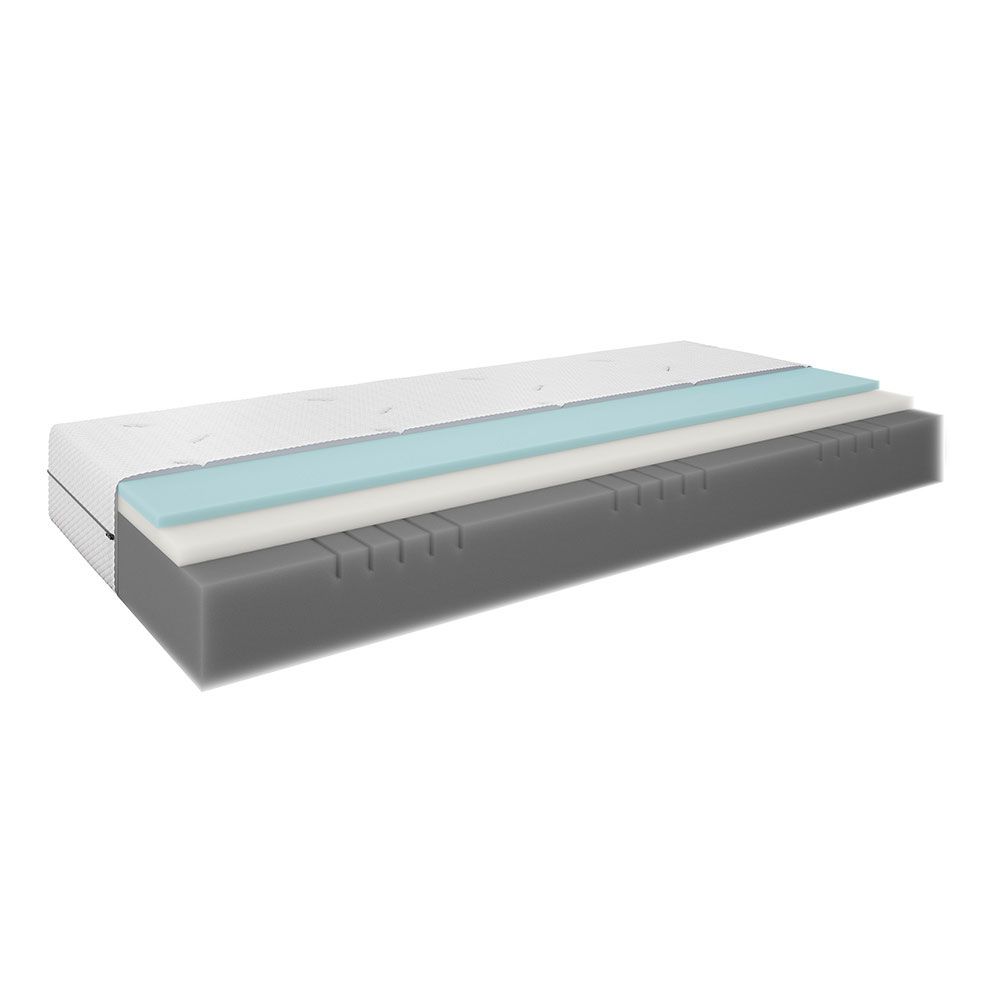 Čiužinys DREAM LUX F110 WELLPUR