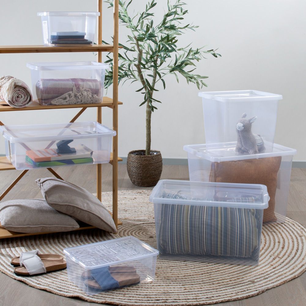 Daiktadėžė BASIC BOX 9L