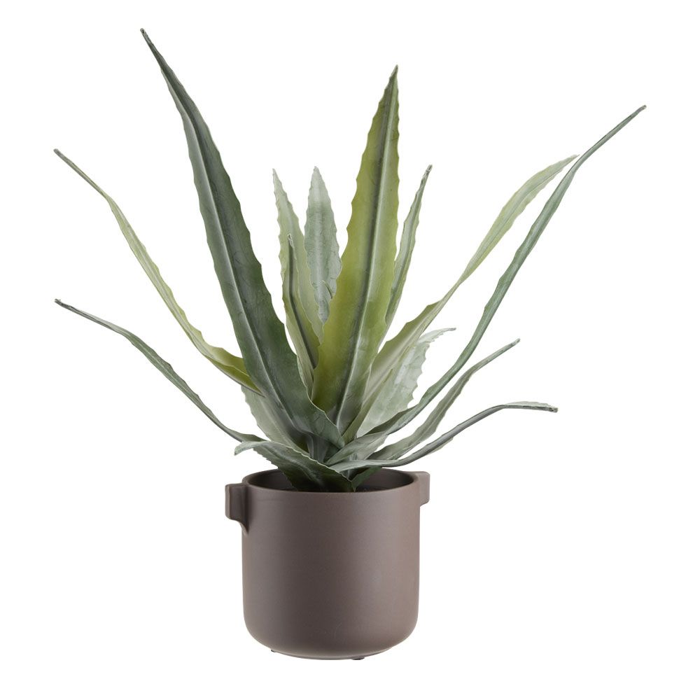 Dirbtinis augalas CELIUS