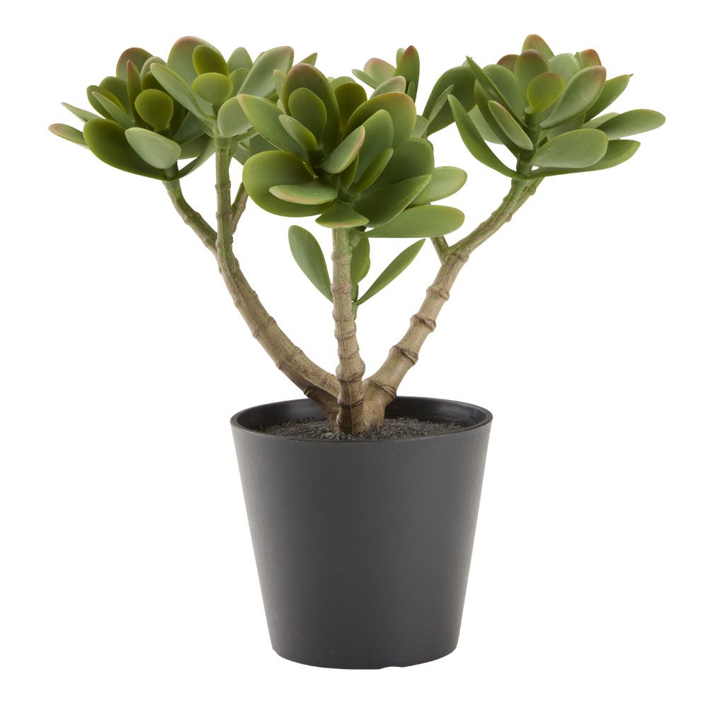 Dirbtinis augalas JOSTEIN