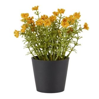 Dirbtinis augalas KALLE