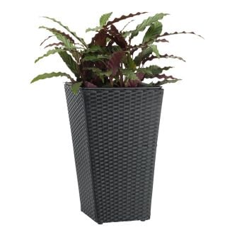 Vazonas BLOMMOR