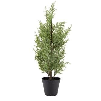 Kalėdų eglutė vazone GROSSULAR 60cm