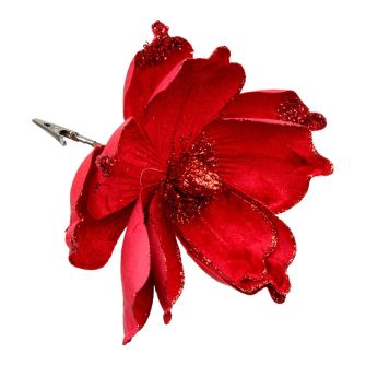 Dekoratyvinė gėlė EDELWEISS