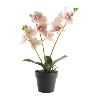 Dirbtinis augalas GUDJON