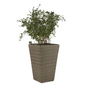 Vazonas BLOMMOR