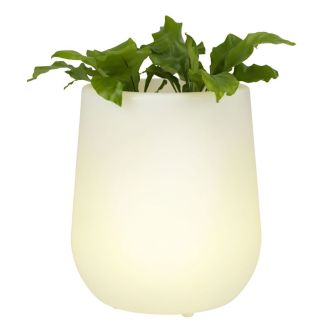 LED vazonas EKOXE