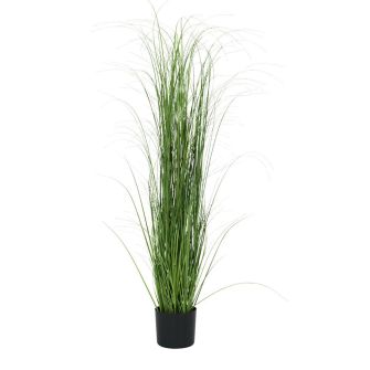 Dirbtinis augalas MARKUSFLUE