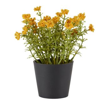 Dirbtinis augalas KALLE