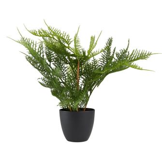 Dirbtinis augalas ROLAND