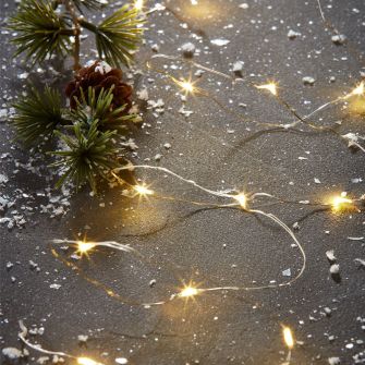 40 LED lempučių girlianda GJALP