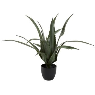 Dirbtinis augalas CELIUS